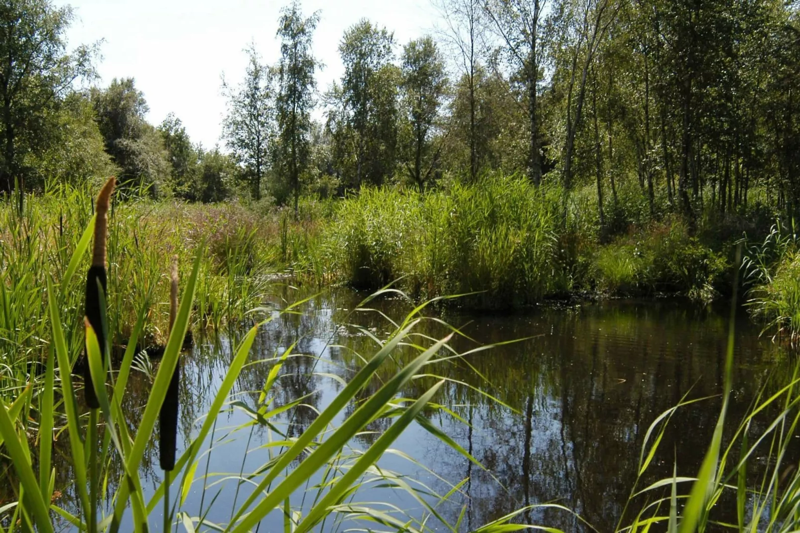 Sfeervol vakantiehuis in Funen met grote panormaische ramen-Uitzicht