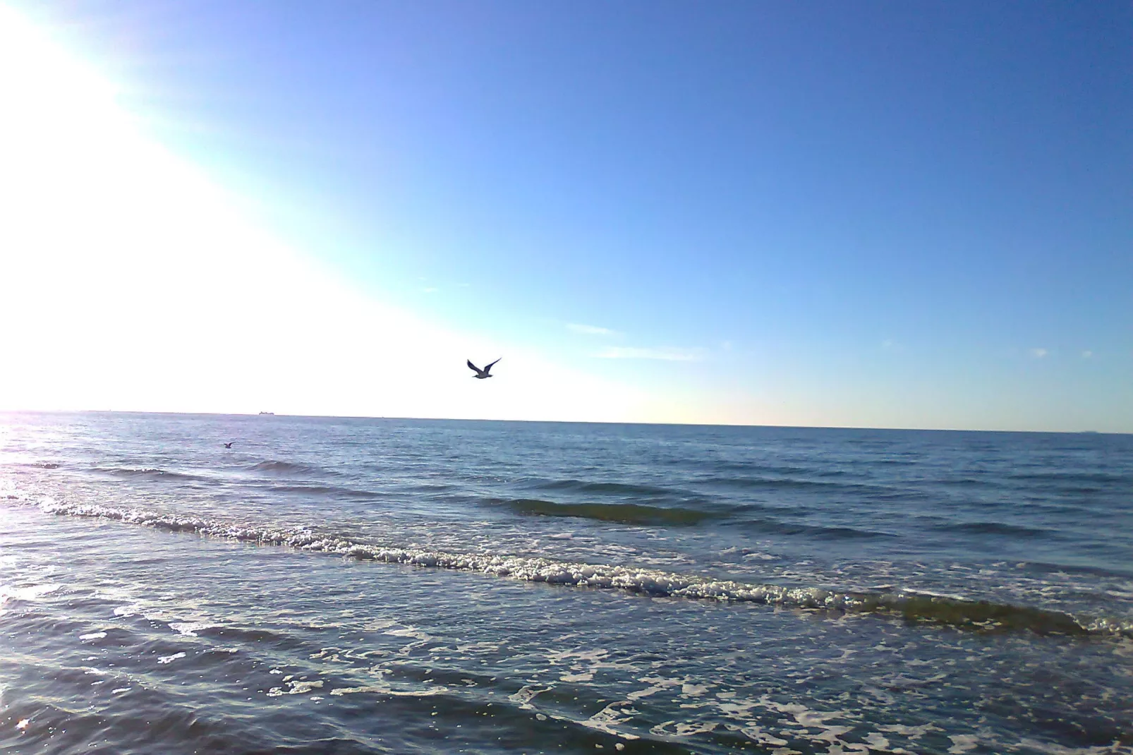 Usedom-Gebieden zomer 20km