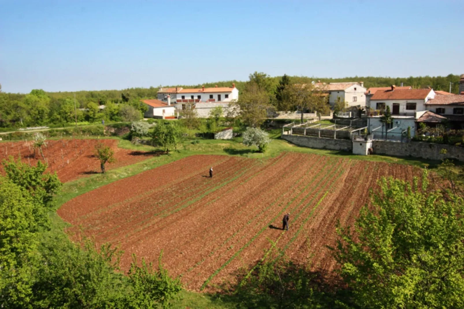 Casa Mario-Gebieden zomer 1km