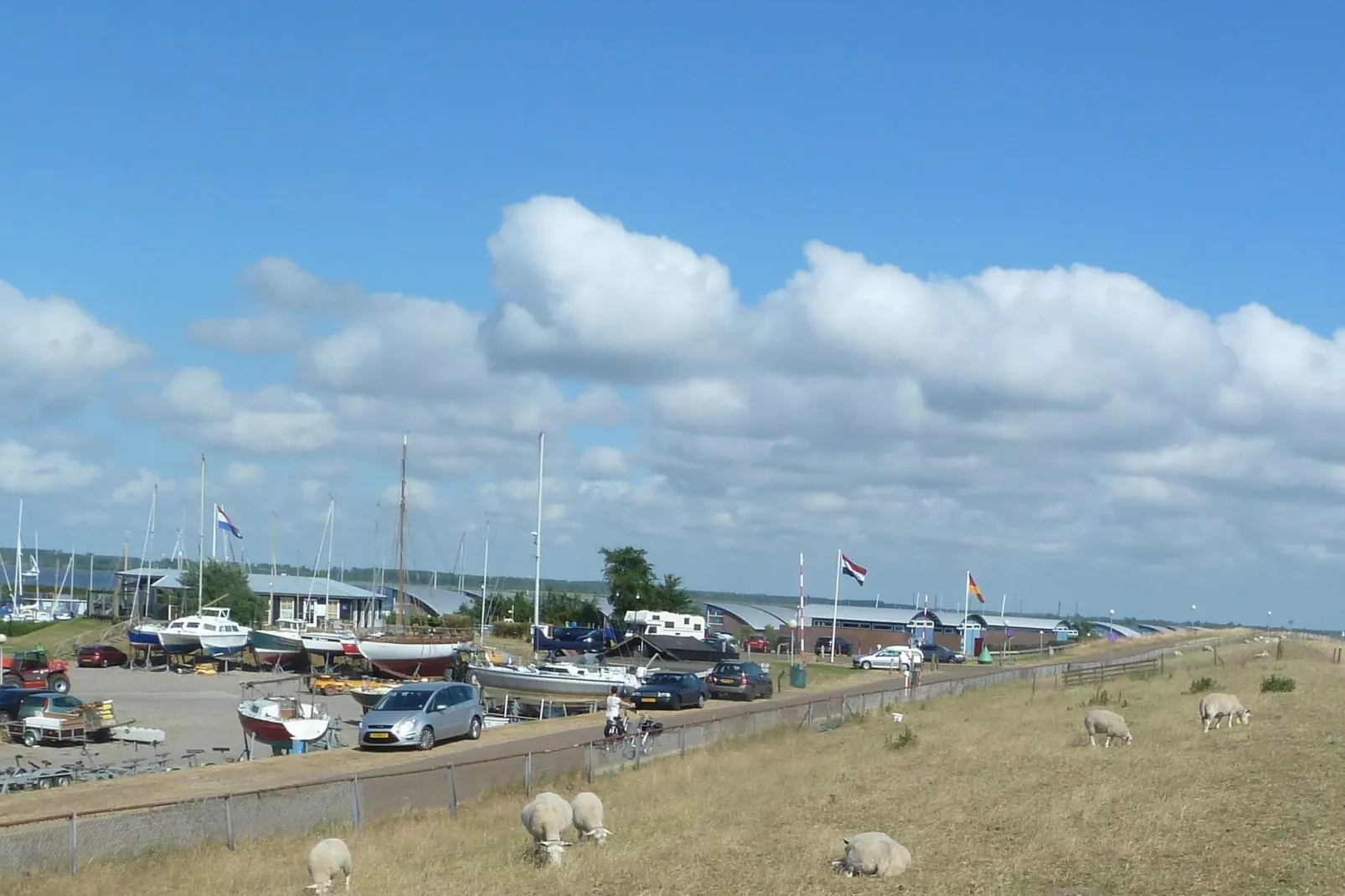 Waad en Wyn-Gebieden zomer 20km