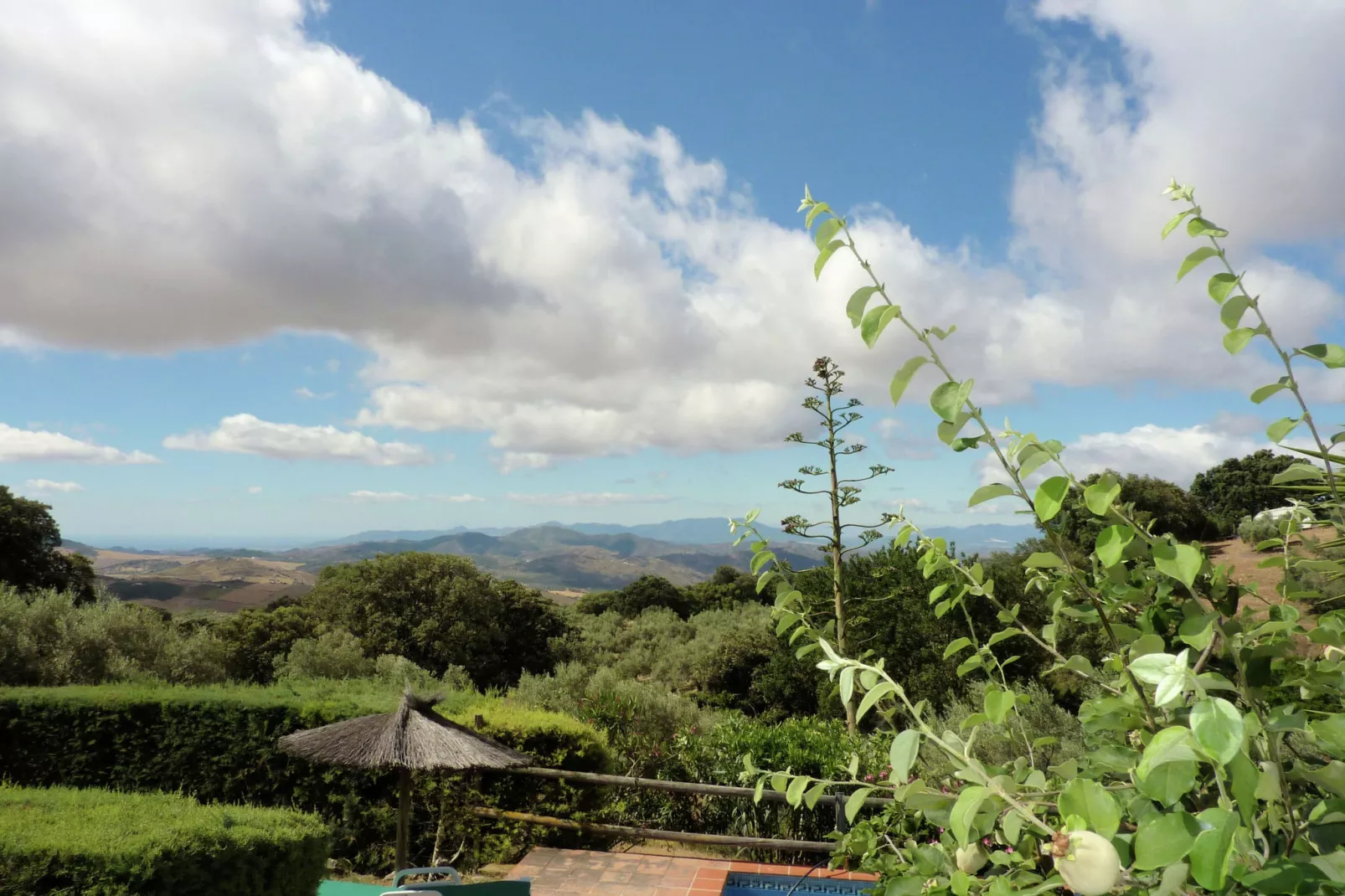 Finca las Chozas-Uitzicht zomer