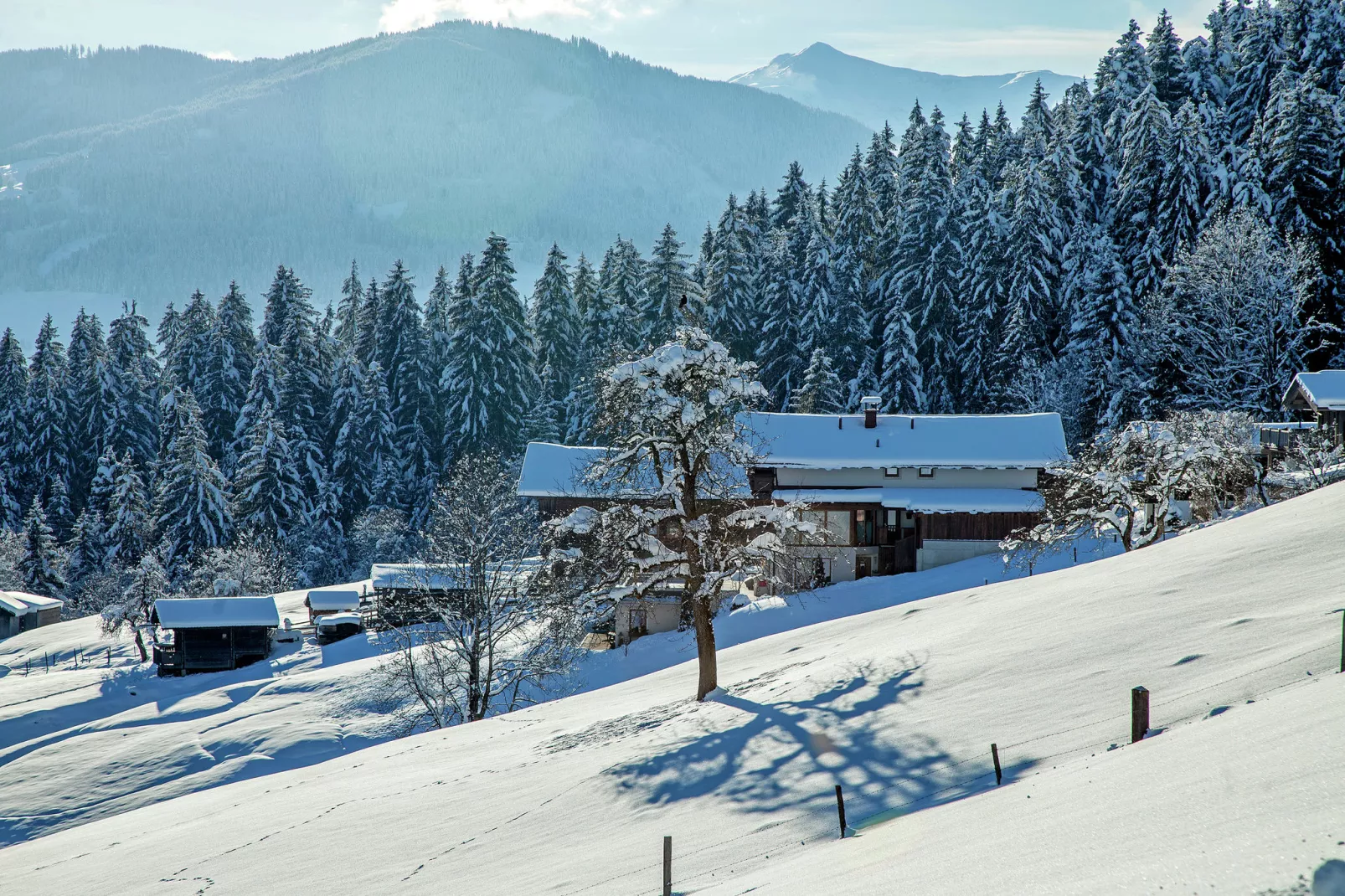 Appartement Riedmann-Exterieur winter