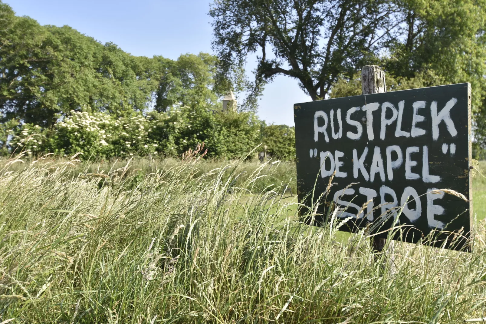 Het Hoge Noorden-Gebieden zomer 1km