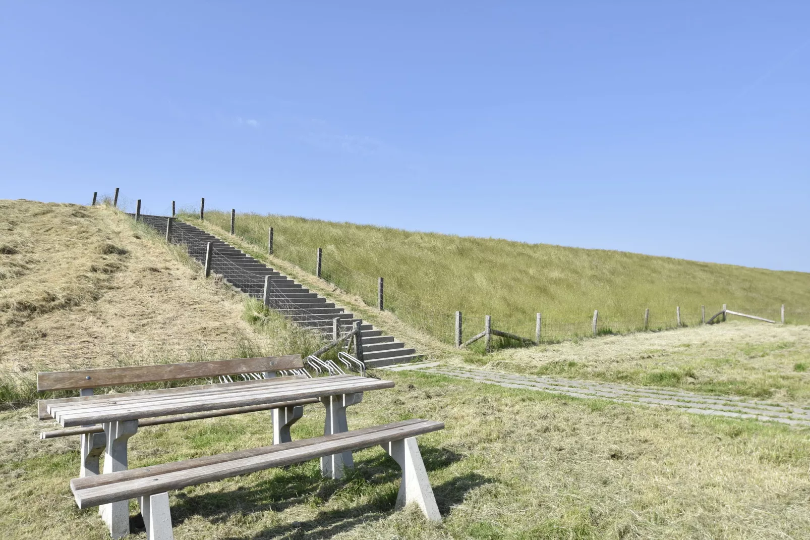 Het Hoge Noorden-Gebieden zomer 1km