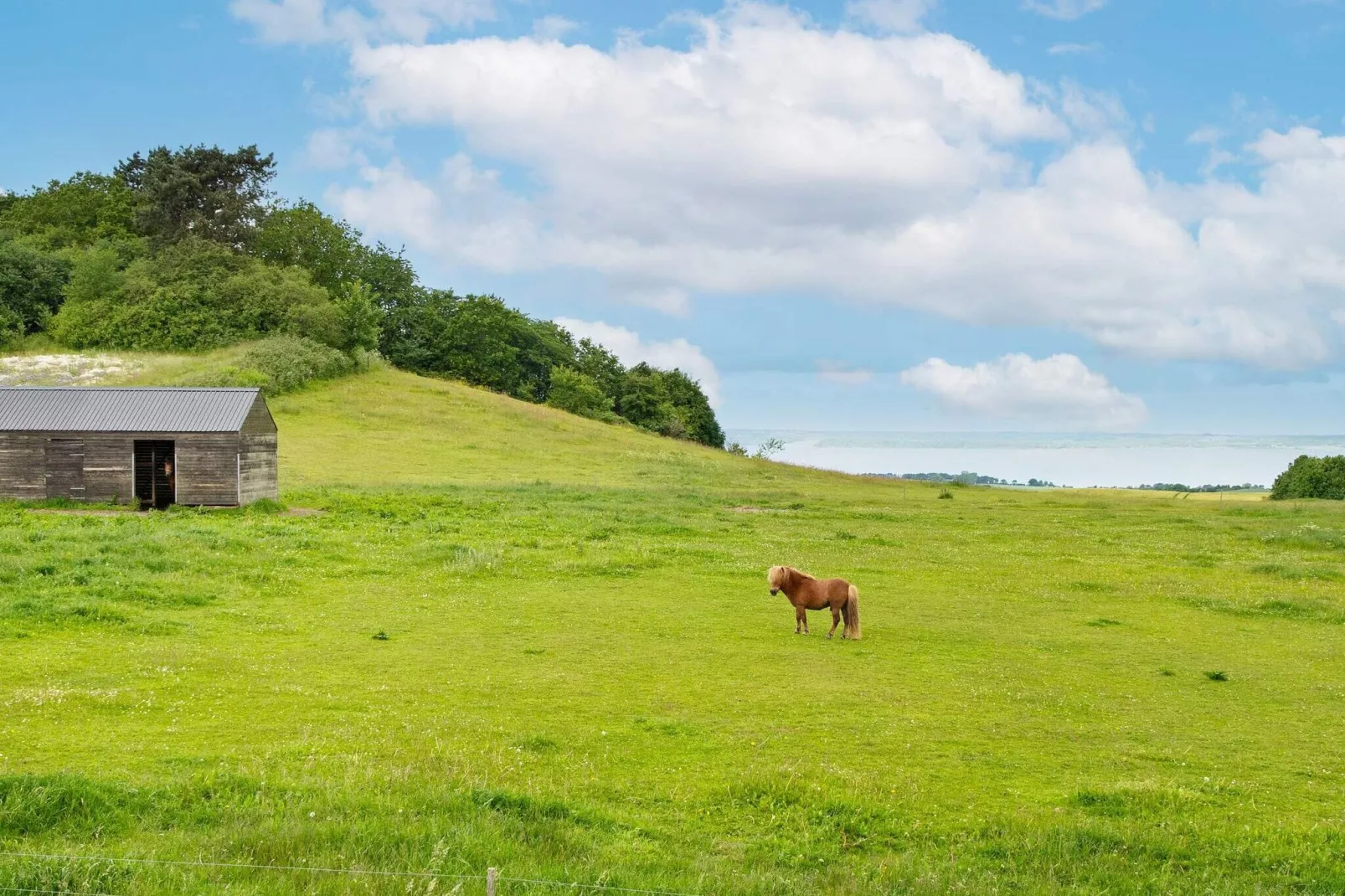 5 persoons vakantie huis in Knebel