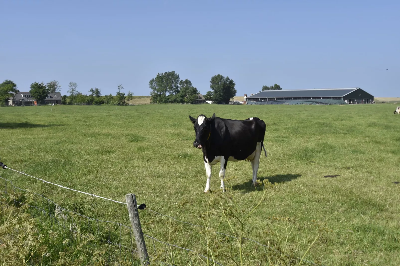 Het Hoge Noorden-Gebieden zomer 1km