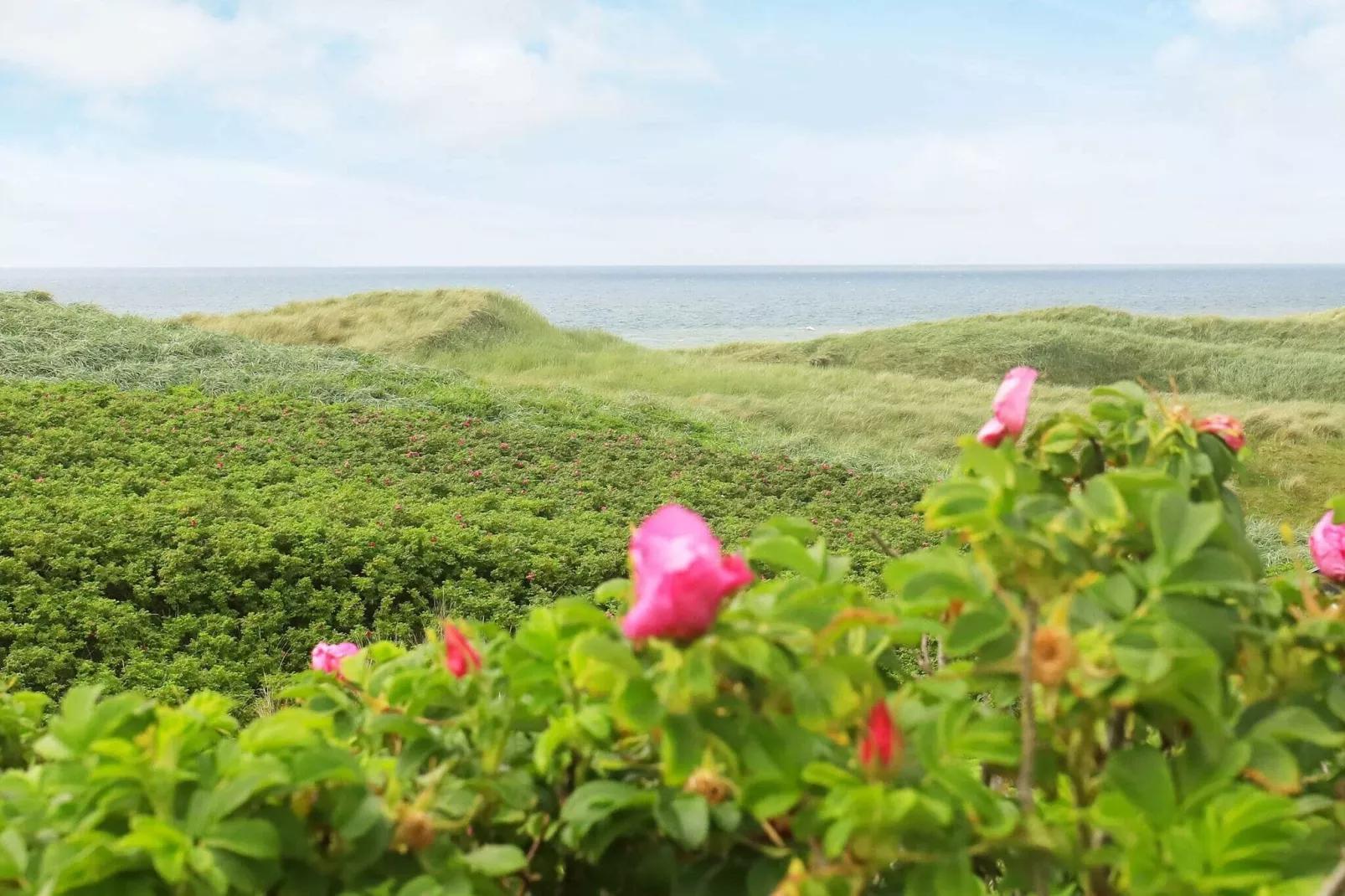 8 persoons vakantie huis in Løkken-Waterzicht