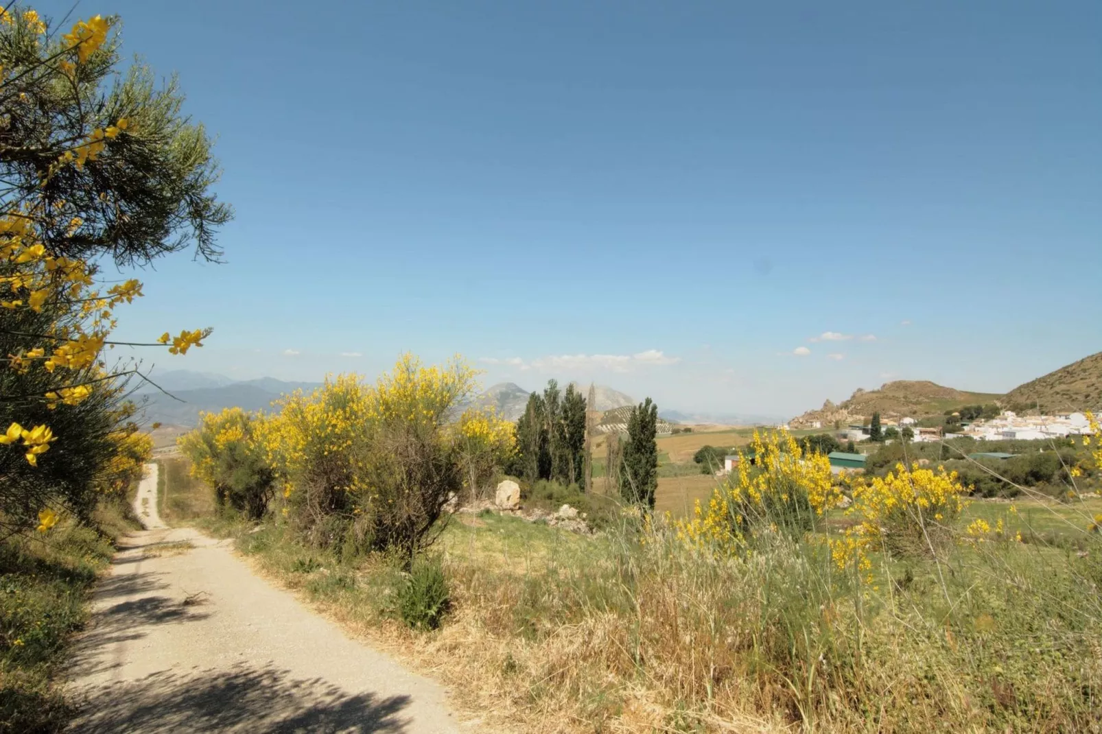 Cortijo Los Olivos-Gebieden zomer 1km