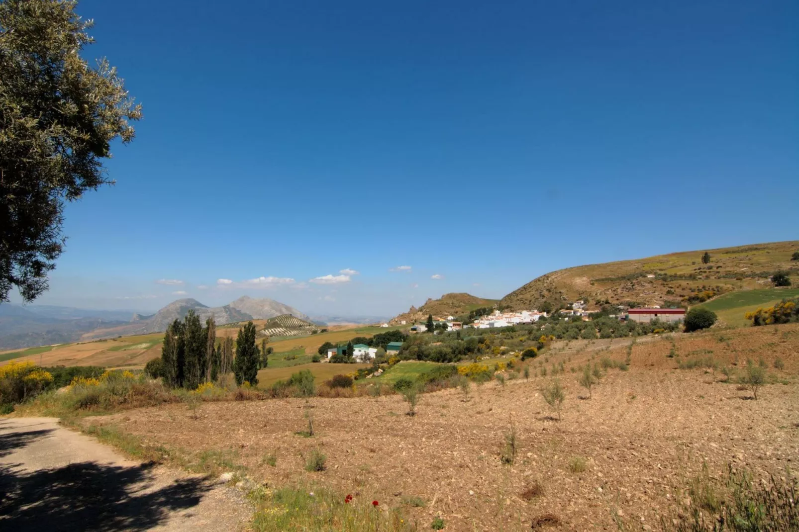 Cortijo Los Olivos-Gebieden zomer 5km