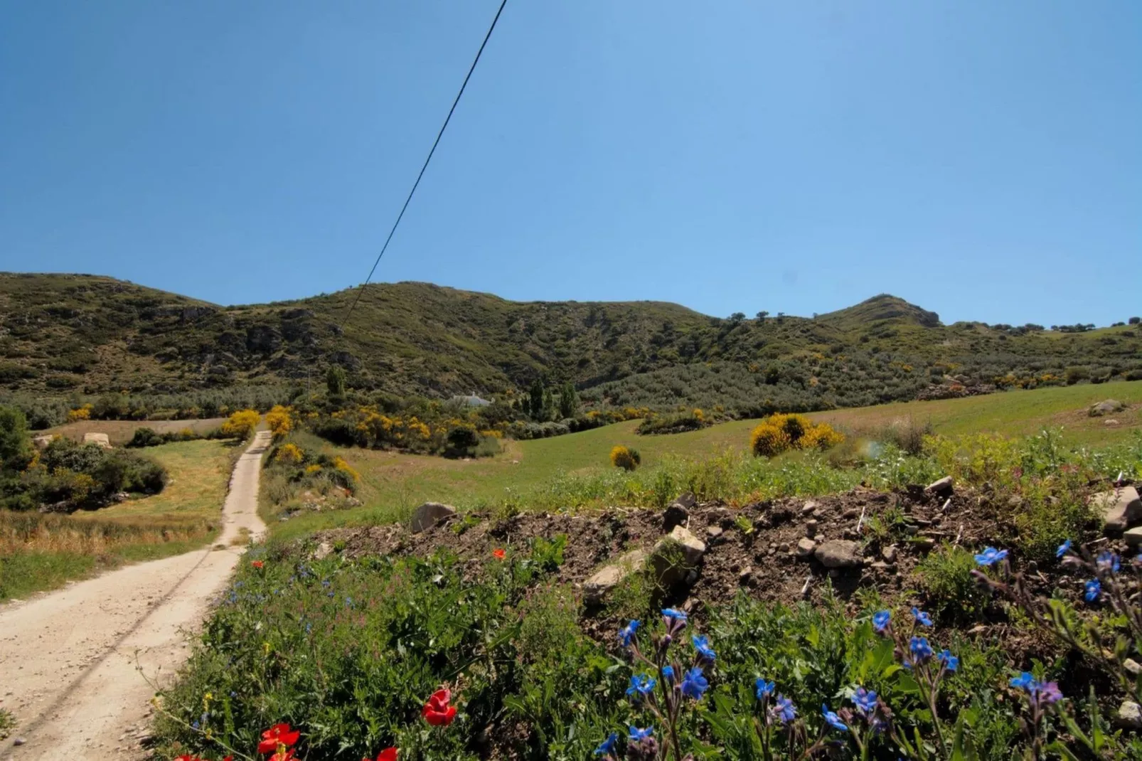 Cortijo Los Olivos-Gebieden zomer 5km