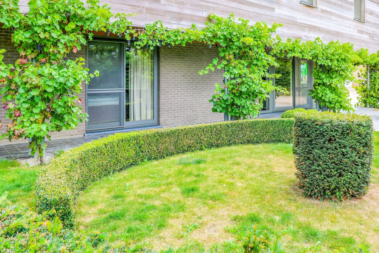 Bloesemhof Conferance-Tuinen zomer