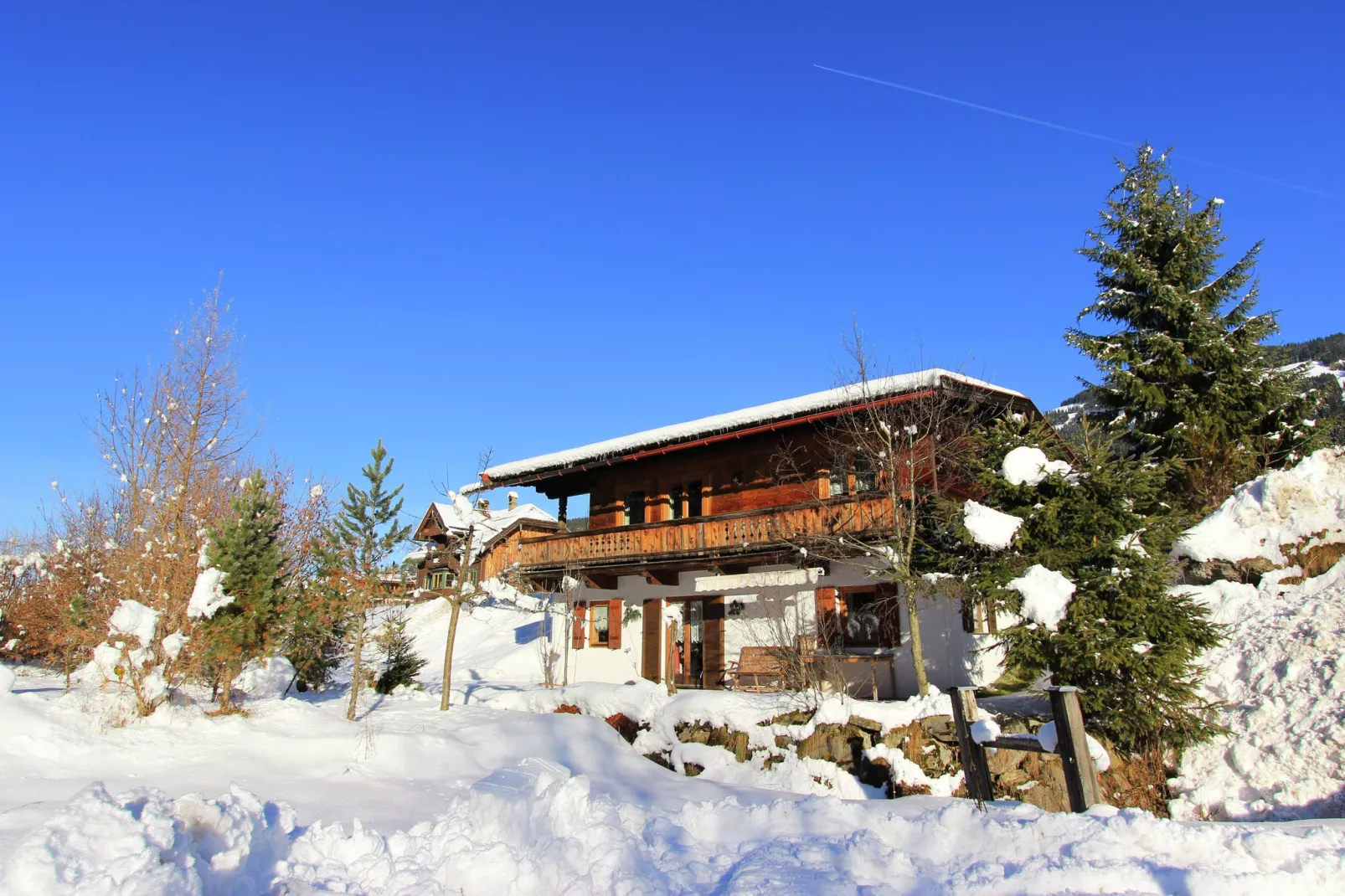 Chalet Leo-Exterieur winter