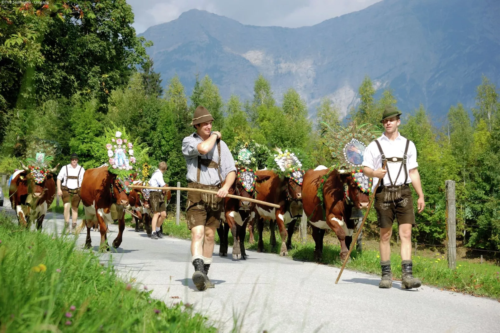 Chalet Ullach XL-Gebieden zomer 5km