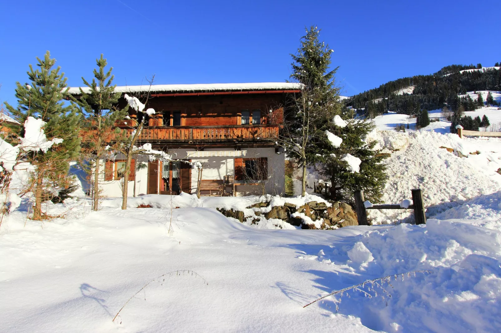 Chalet Leo-Exterieur winter