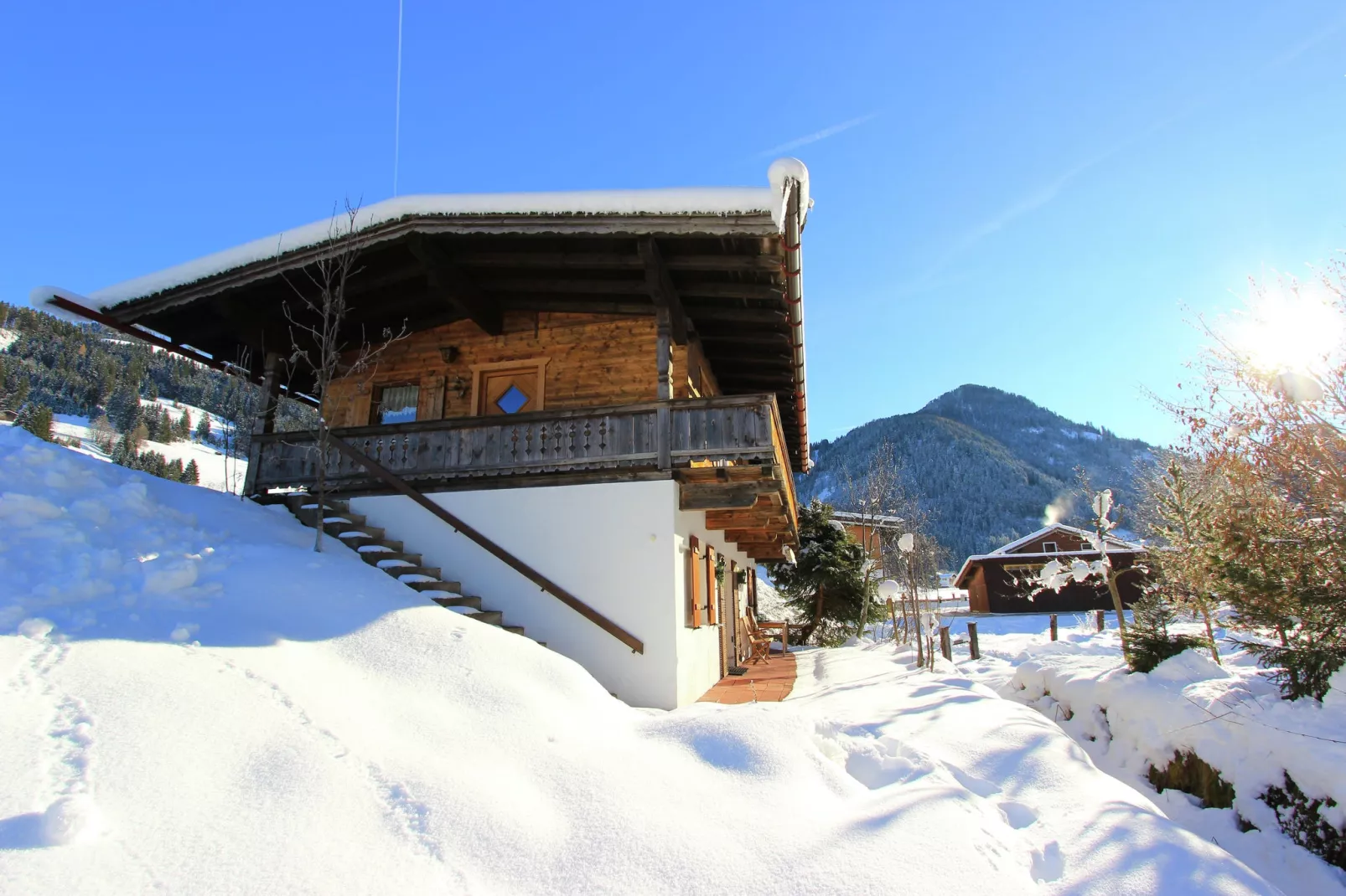 Chalet Leo-Exterieur winter