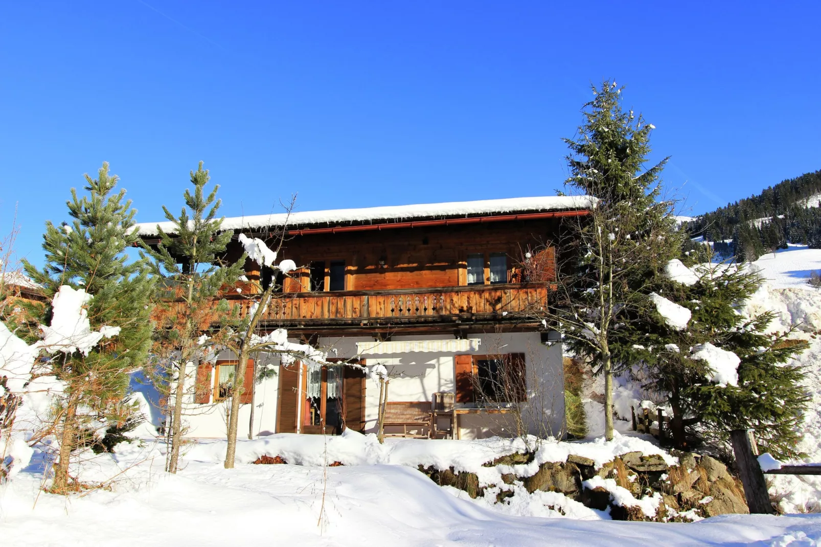 Chalet Leo-Exterieur winter