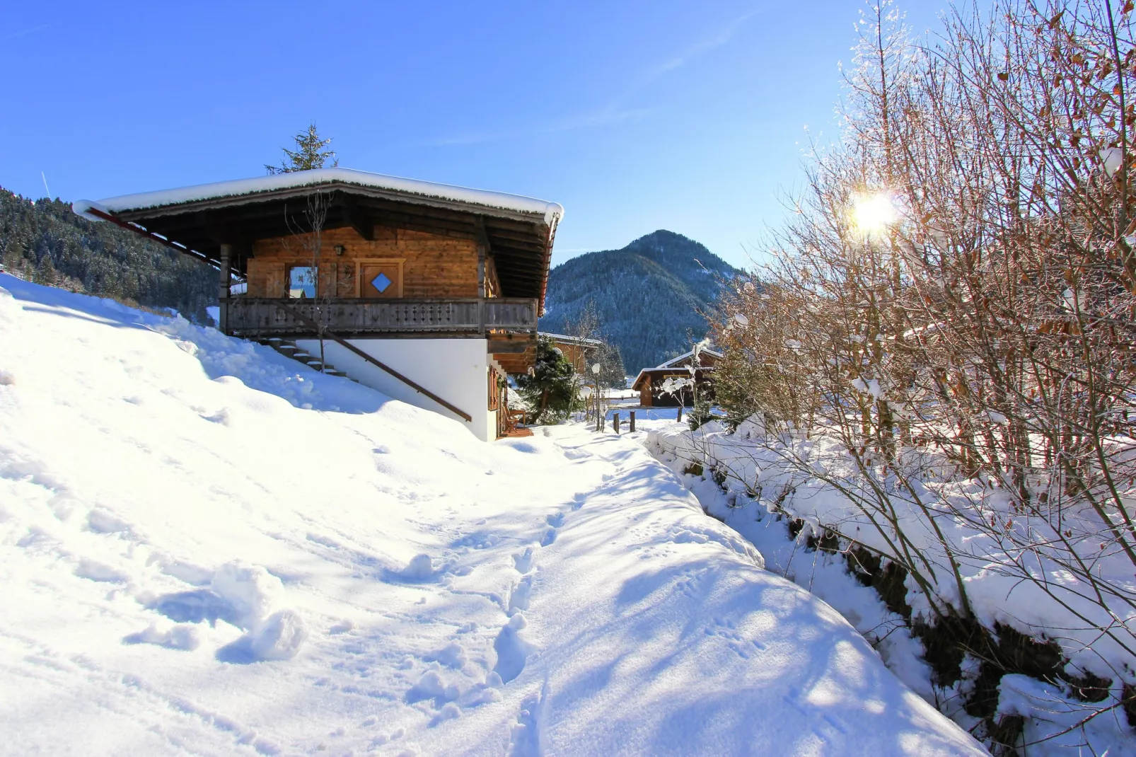 Chalet Leo-Tuin winter