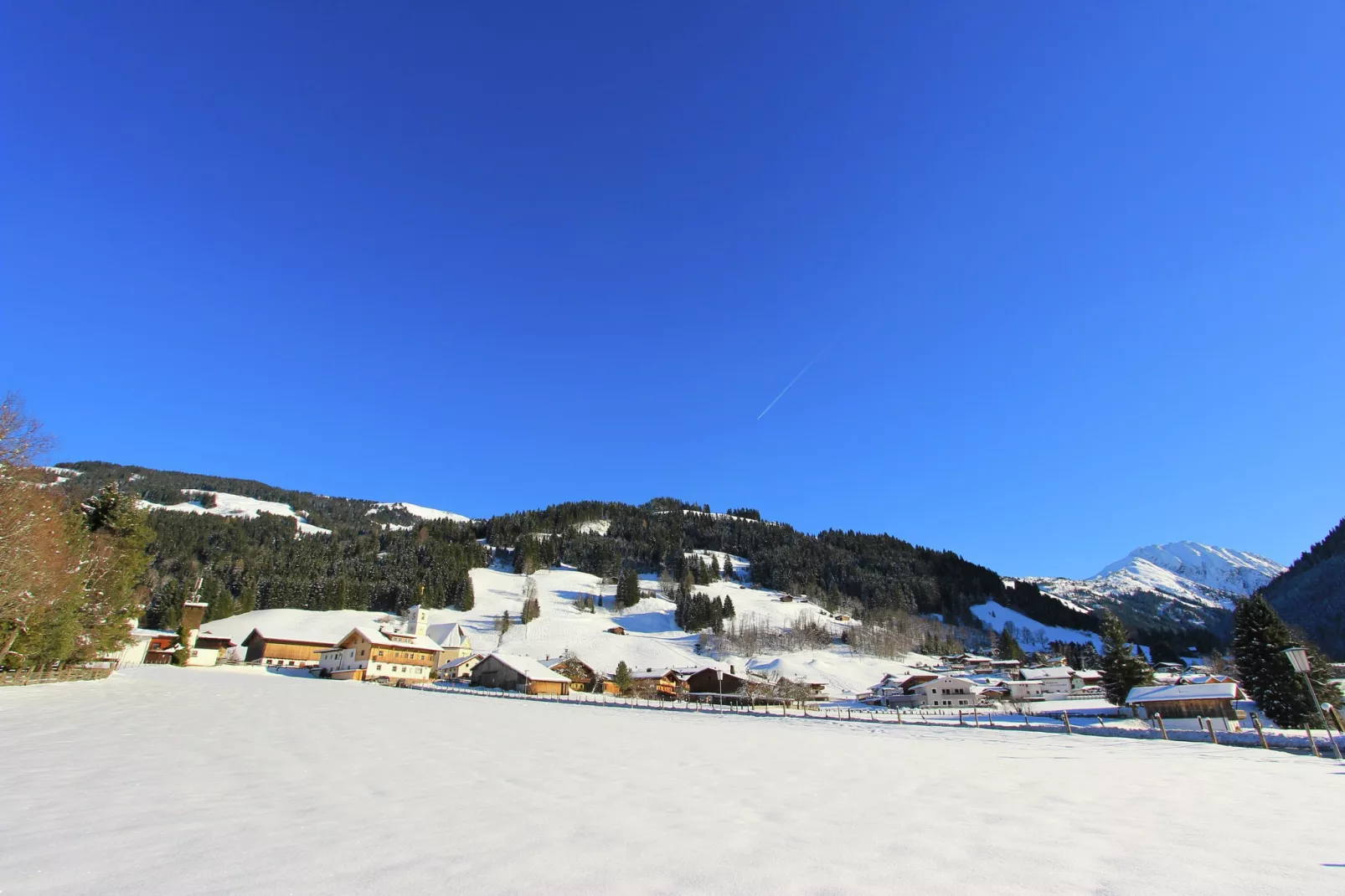 Chalet Leo-Gebied winter 1km