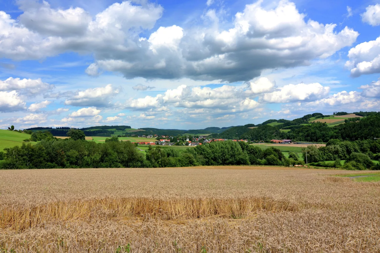 Wissinghausen-Gebieden zomer 5km