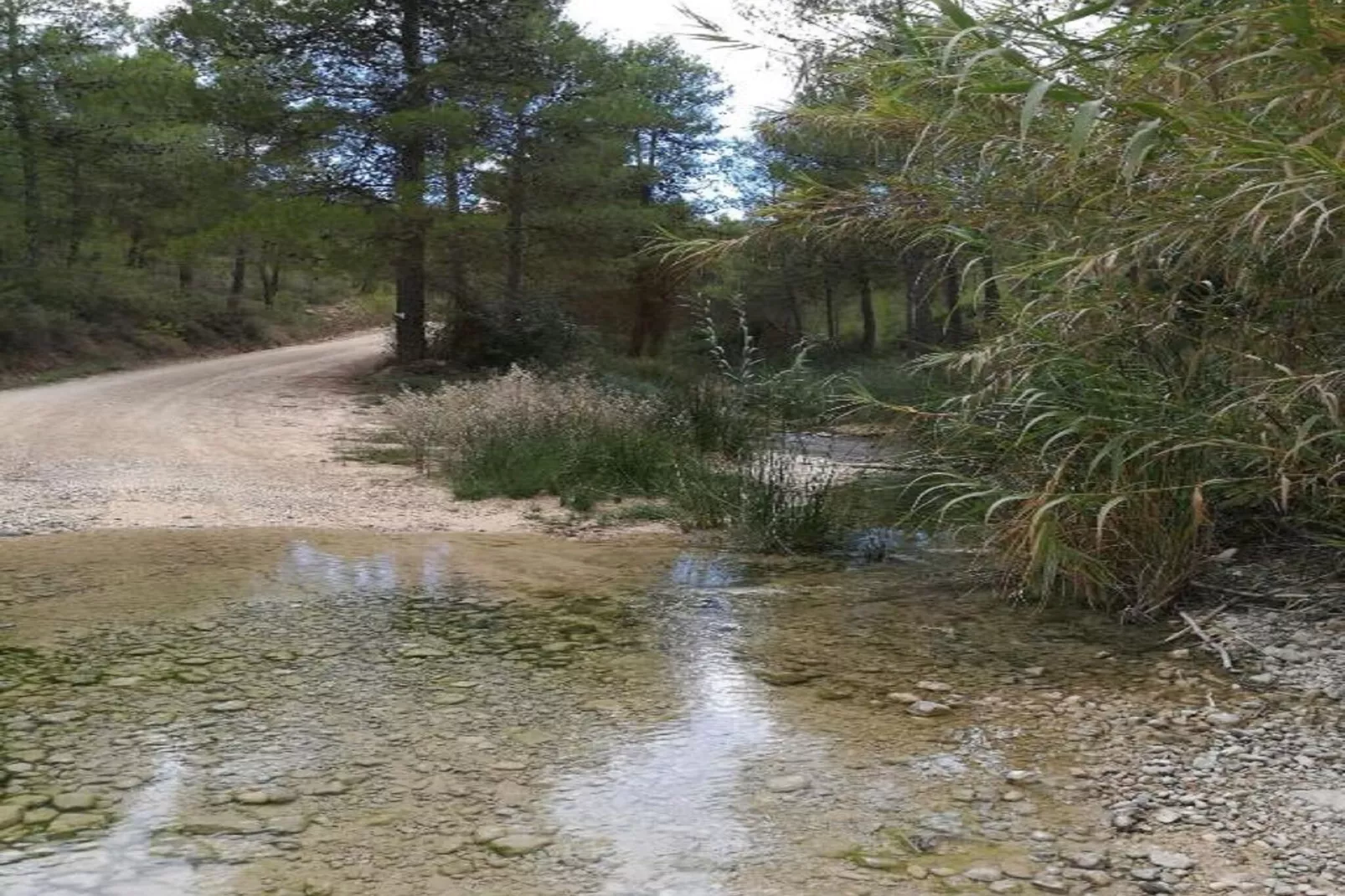 Casa de Lozano y Rueda-Gebieden zomer 1km