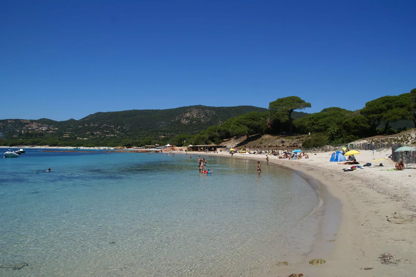 Résidence le Maquis Plage Type 1-Gebieden zomer 20km