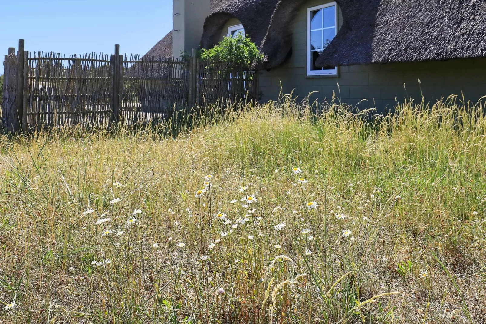 6 persoons vakantie huis in Ringkøbing-Uitzicht