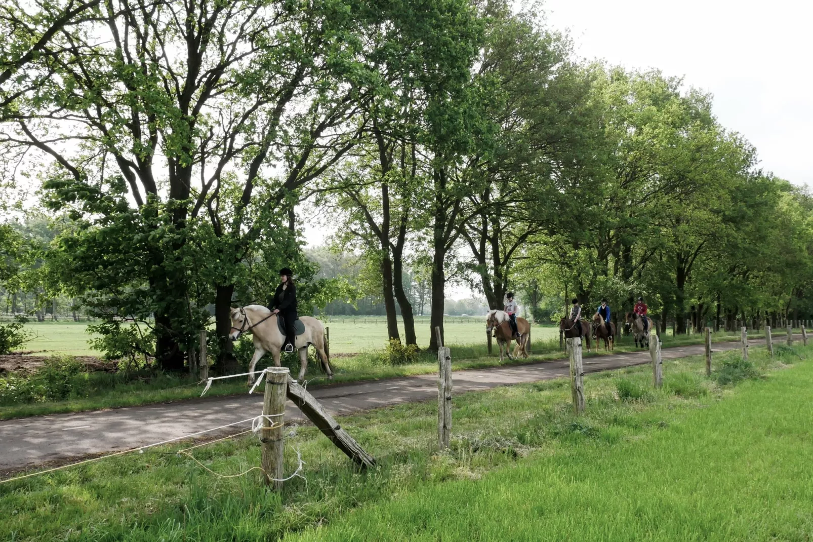 Erve Tank-Gebieden zomer 1km