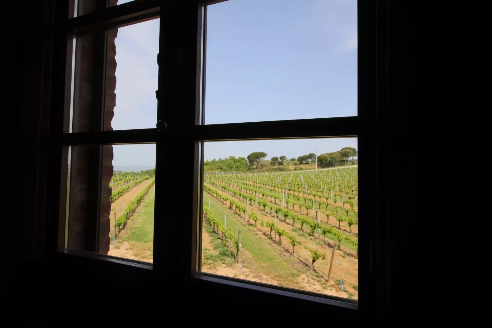 Gezellig appartement in Montepulciano met zwembad-Uitzicht zomer
