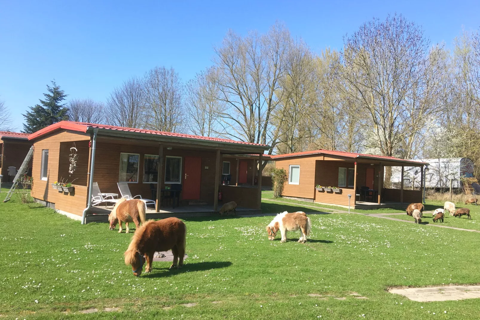 Haus 7-Gebieden zomer 5km