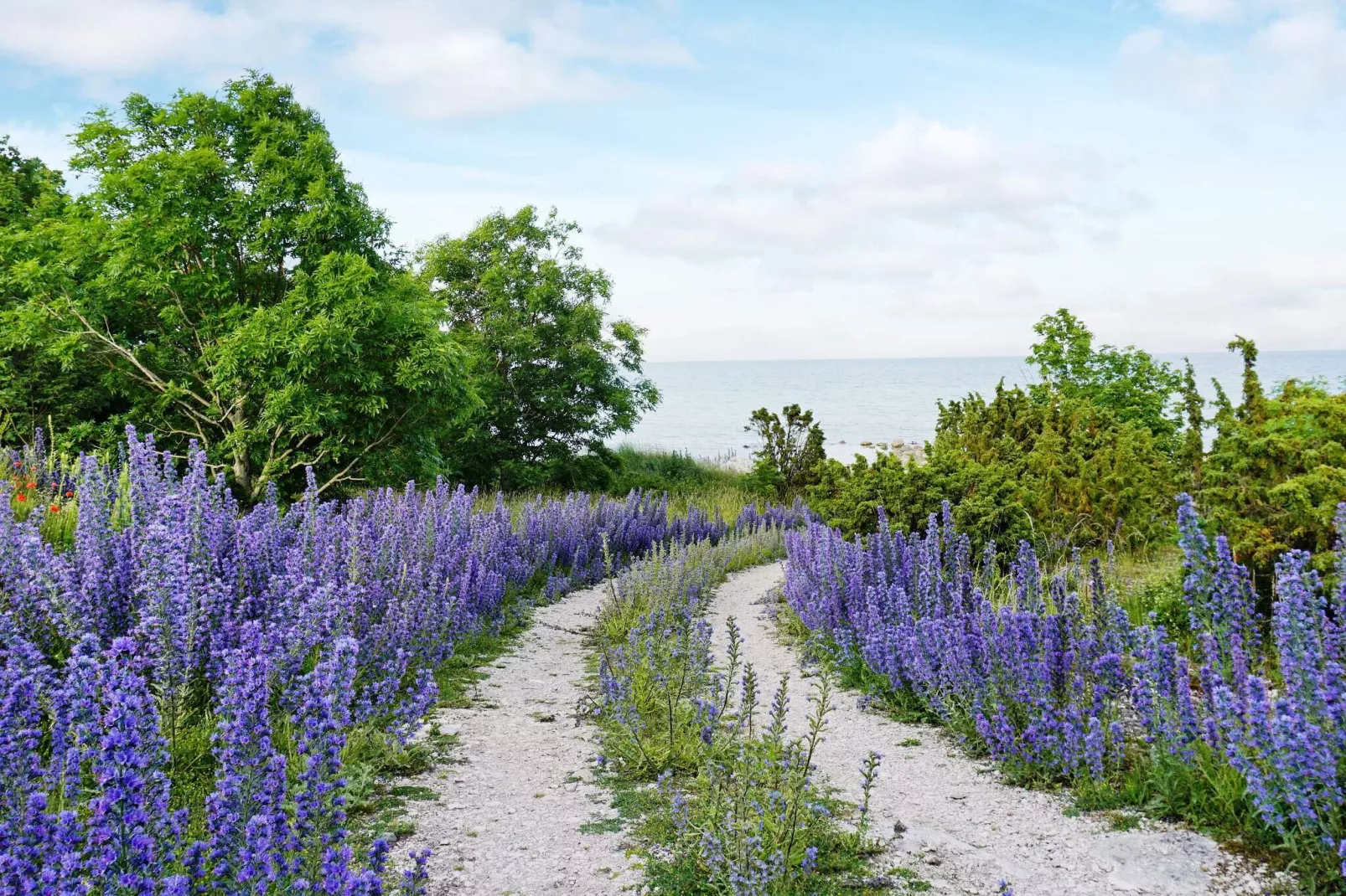 6 persoons vakantie huis in VISBY-By Traum-Niet-getagd