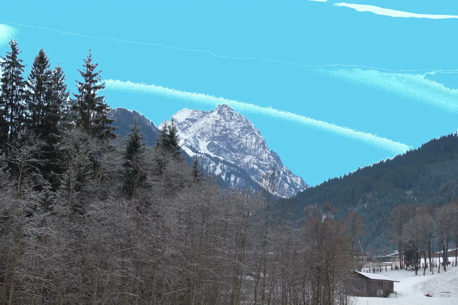 Reiserer XL-Uitzicht winter