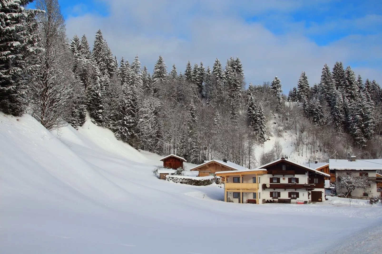 Reiserer XL-Exterieur winter