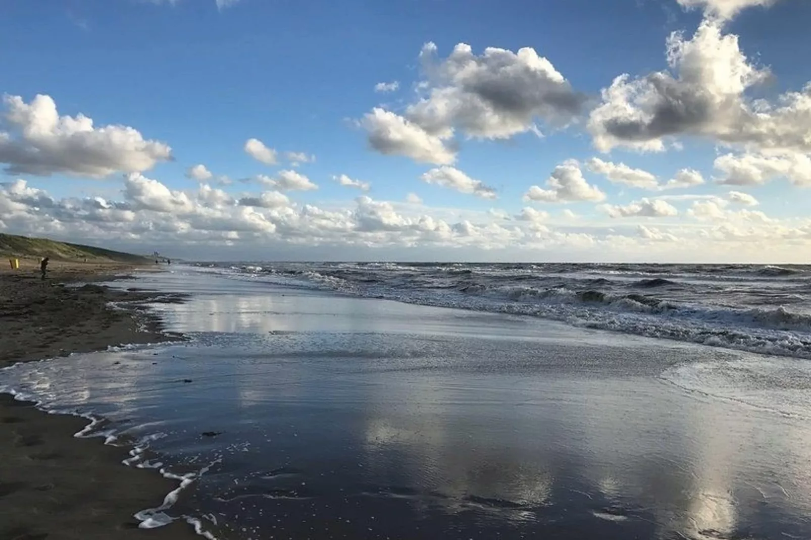 De Zilvermeeuw-Gebieden zomer 5km