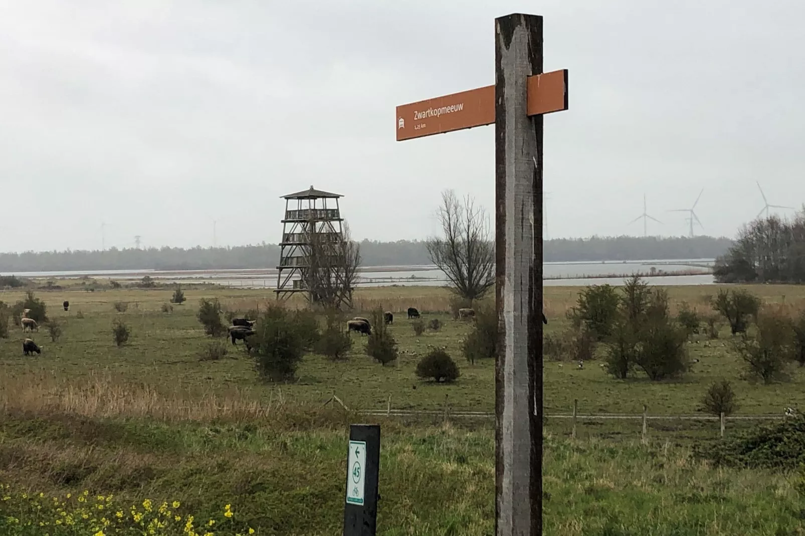 Villa Avondrood-Gebieden zomer 1km