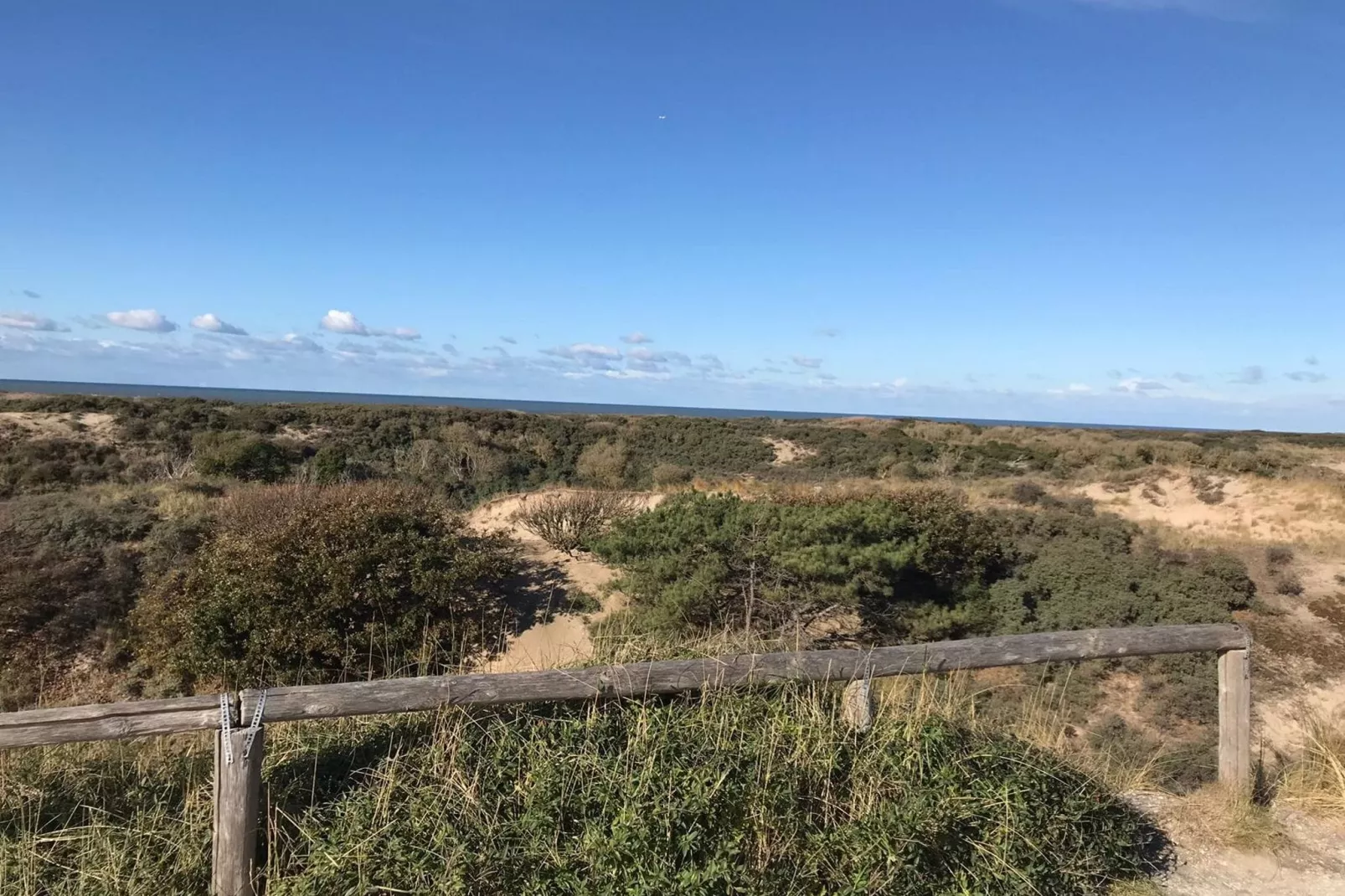 De Zilvermeeuw-Gebieden zomer 5km