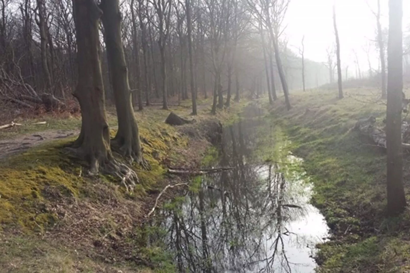 De Zilvermeeuw-Gebied winter 5km