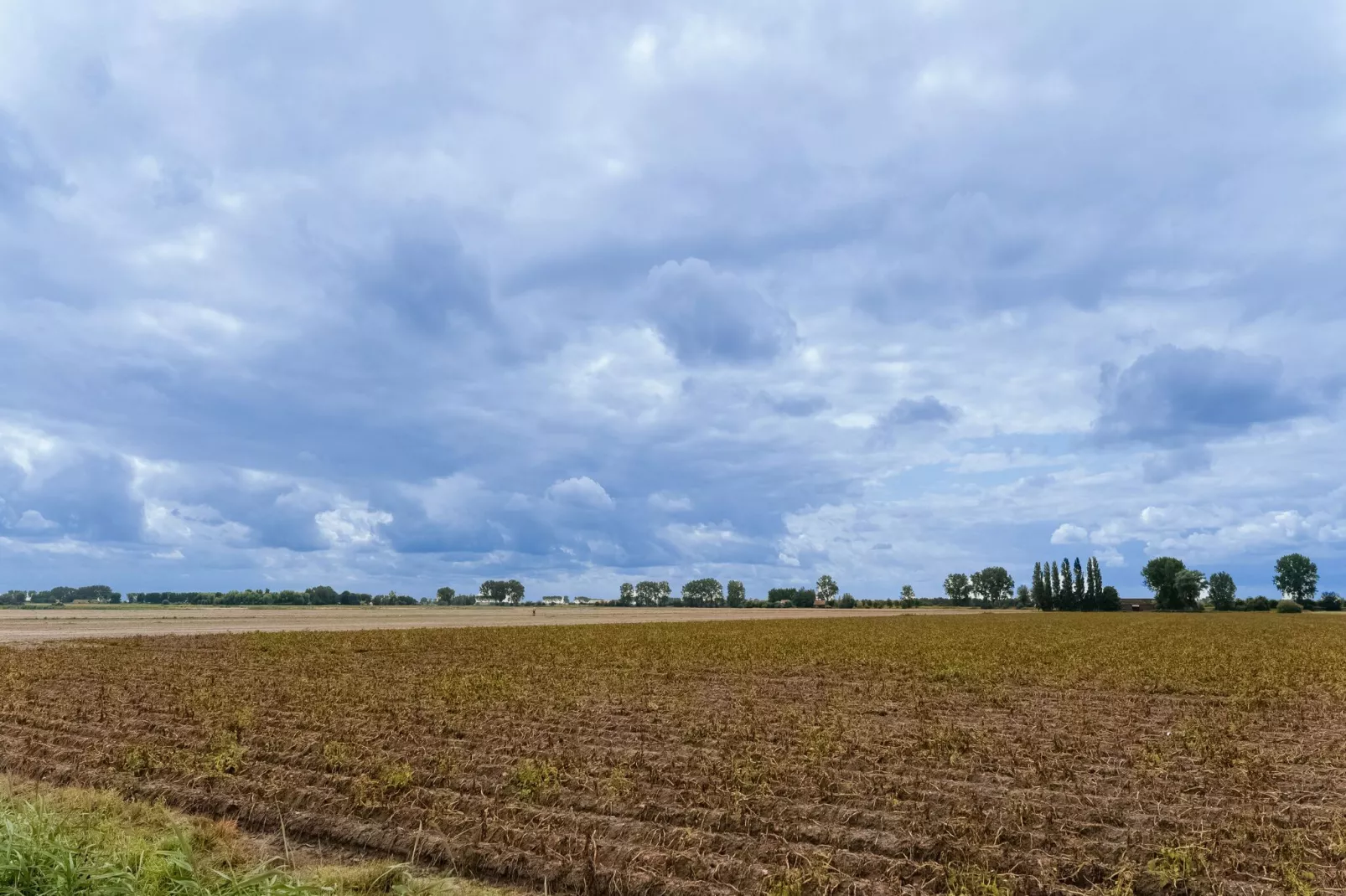 Het Blauwe Huis-Uitzicht zomer