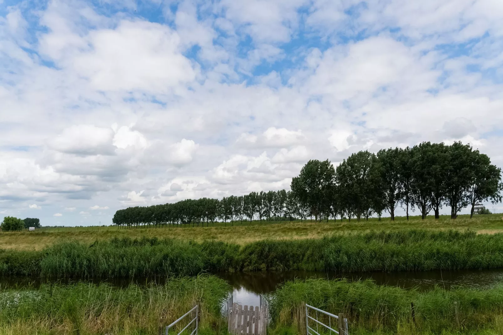 Het Blauwe Huis-Gebieden zomer 5km