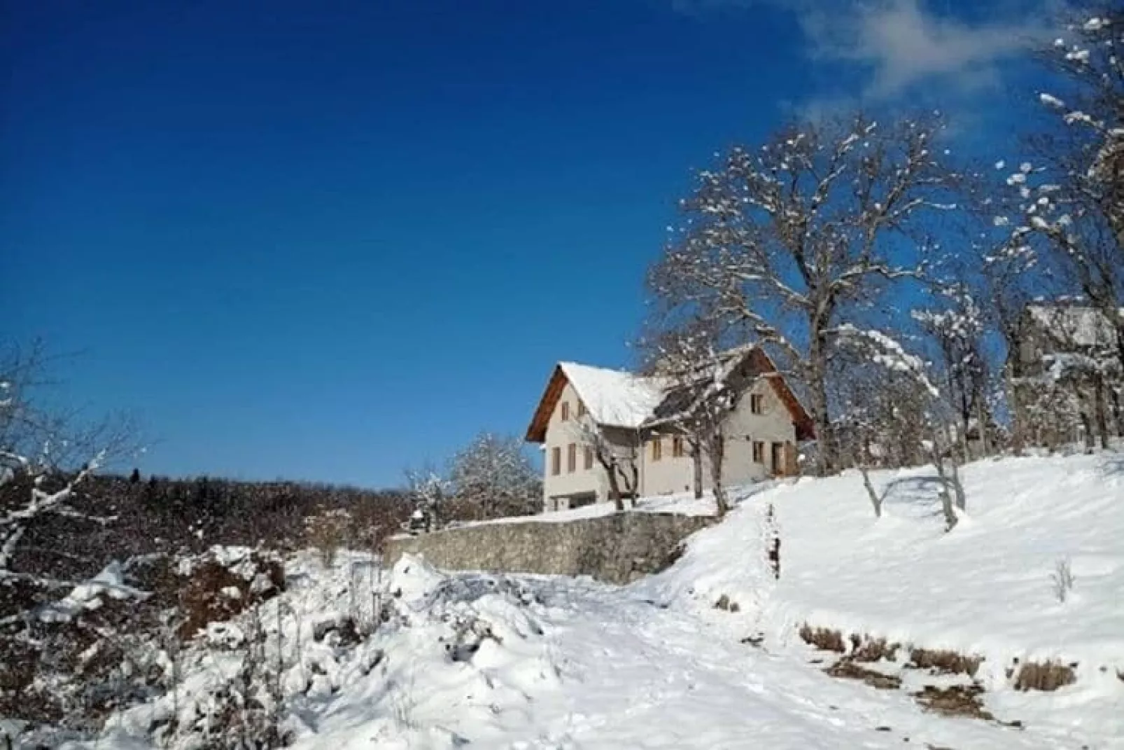 Holiday home Fijan-Tuin winter