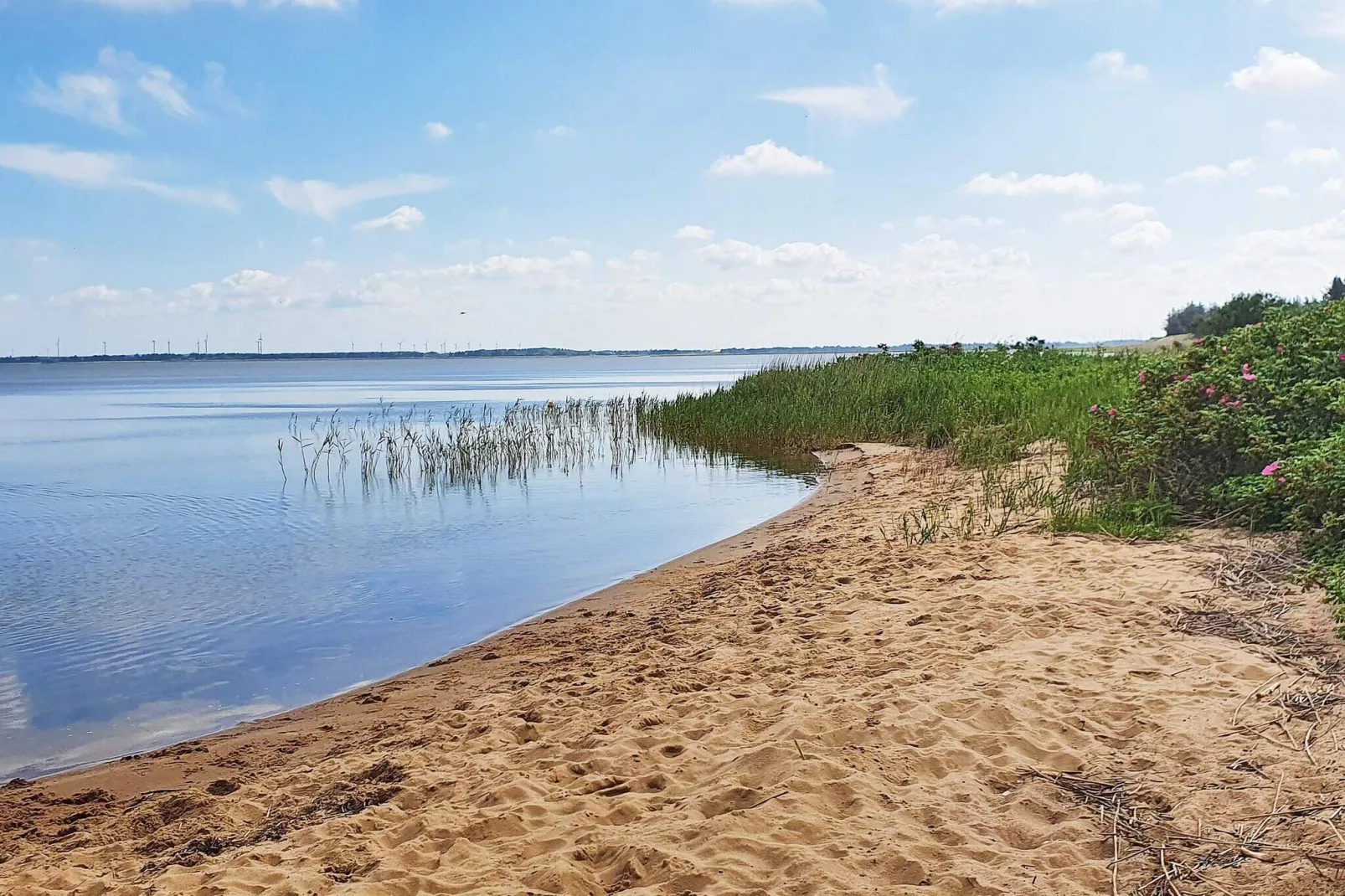 6 persoons vakantie huis in Ulfborg-Buitenlucht