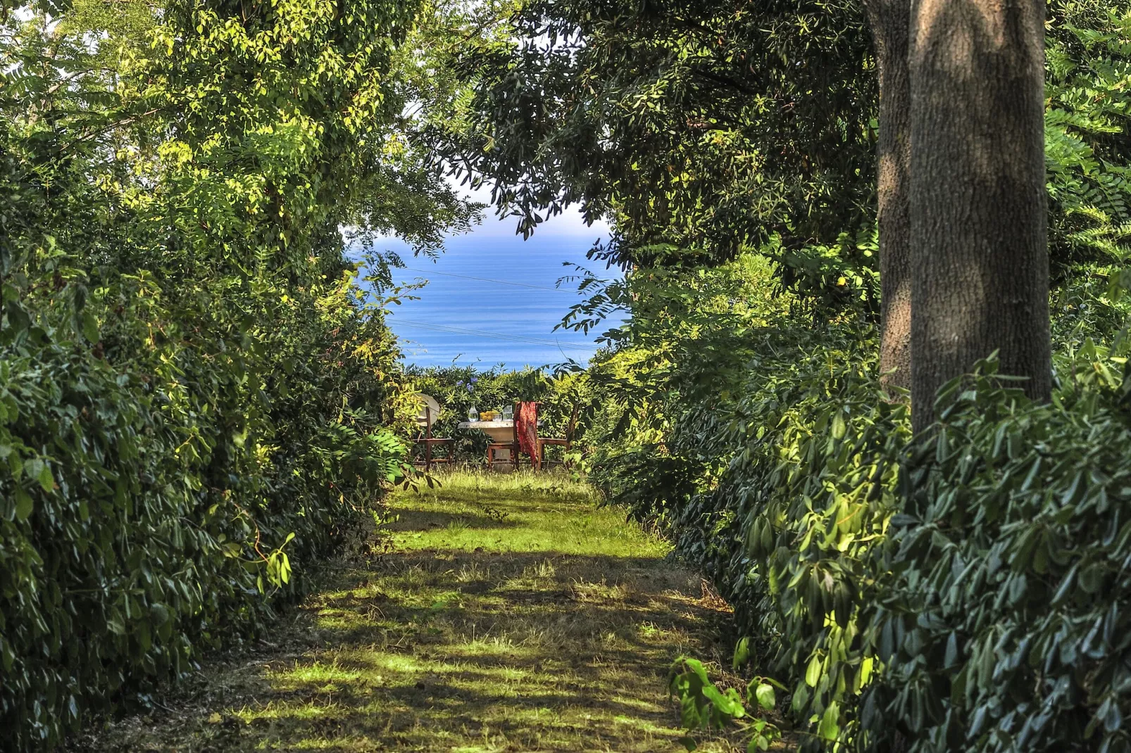 Monti-Tuinen zomer