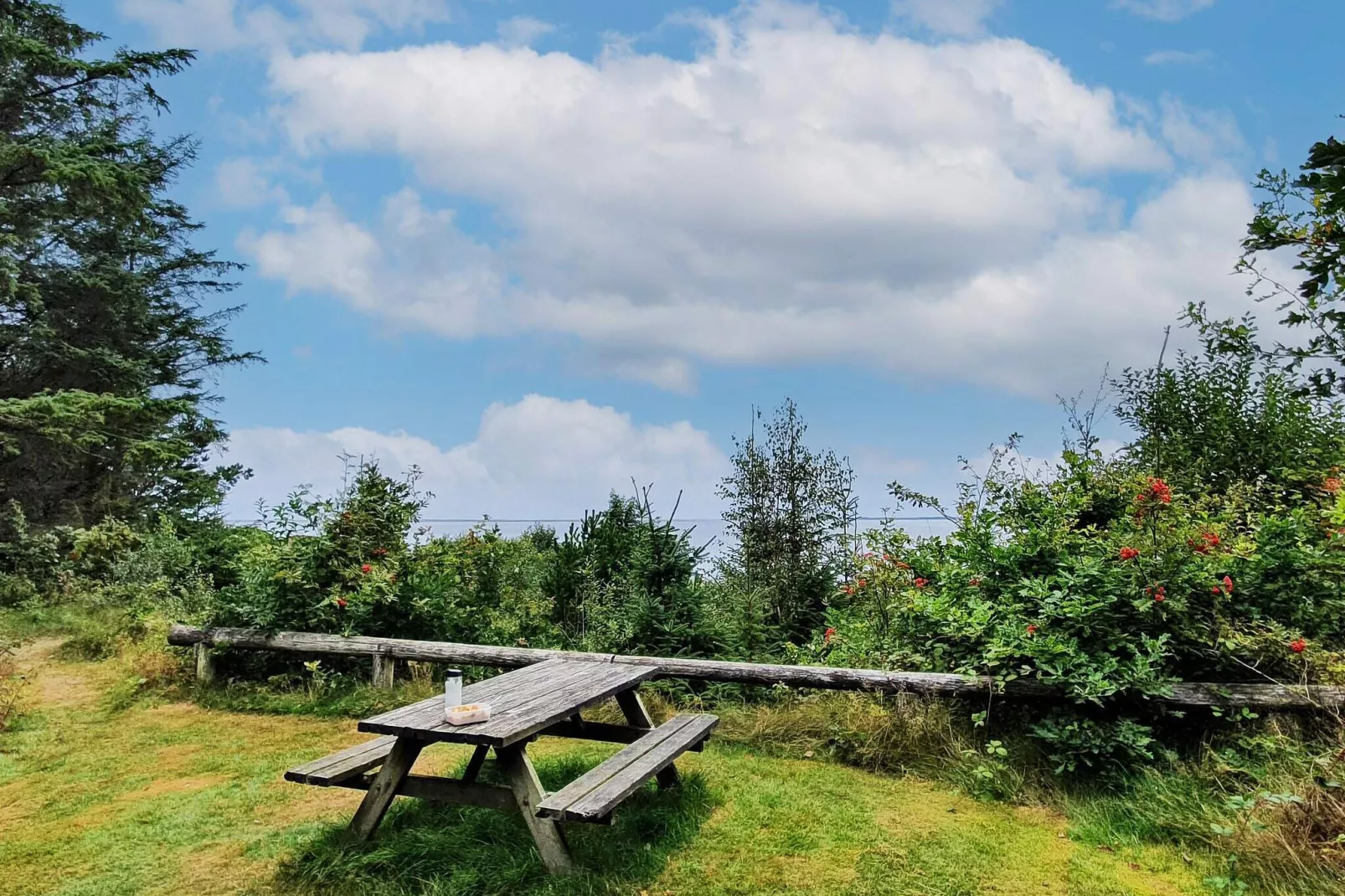 6 persoons vakantie huis in Ulfborg-By Traum-Buitenlucht