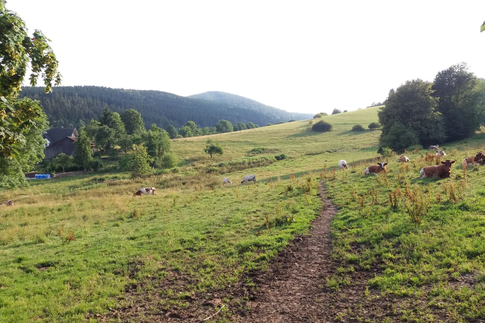 Blokhuis Winterberg Molen-Uitzicht zomer