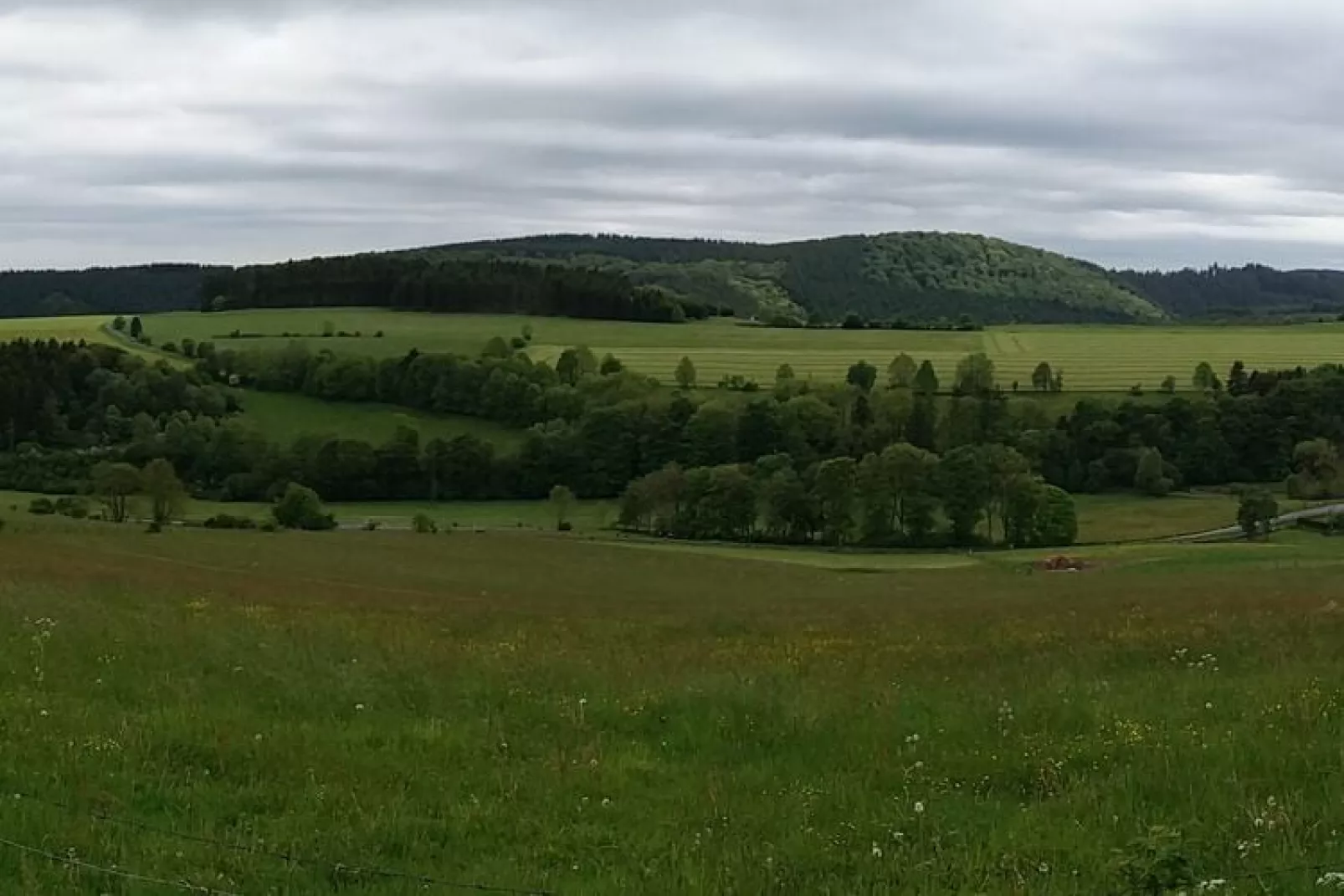 Blokhuis Winterberg Molen-Uitzicht zomer