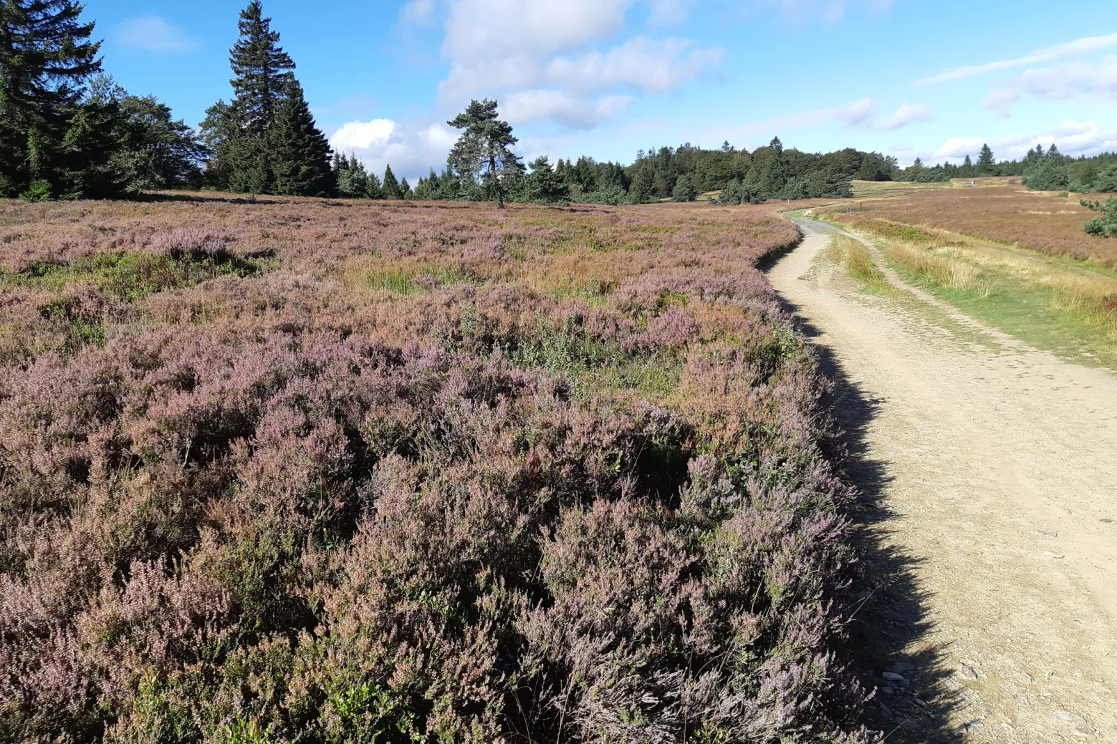 Blokhuis Winterberg Molen-Gebieden zomer 20km