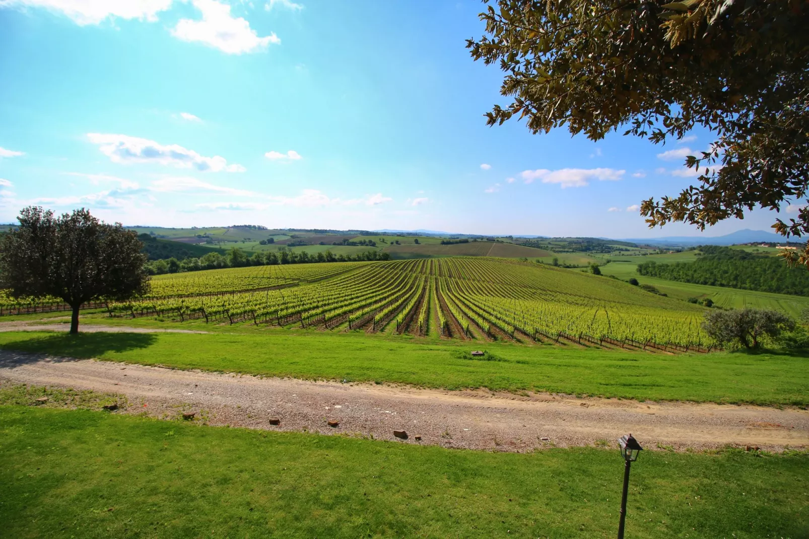 Landelijk appartement in Montepulciano met een zwembad-Uitzicht zomer