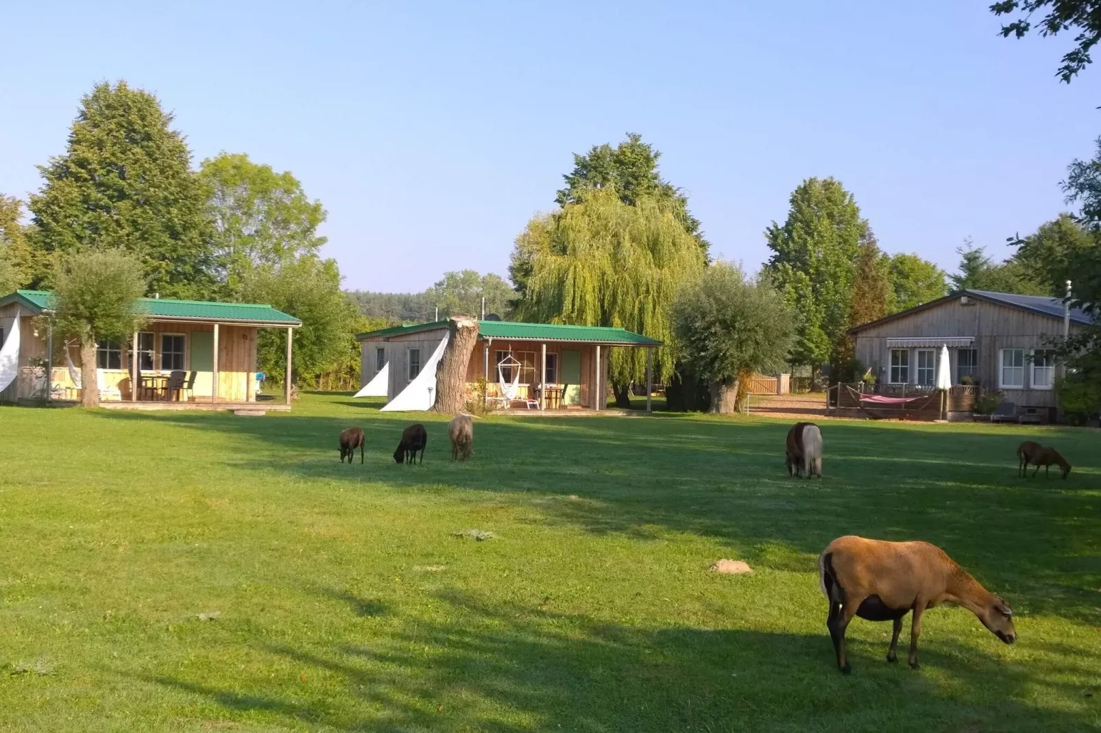 Vakantiehuis op de backwaters, Lütow-Buitenkant zomer