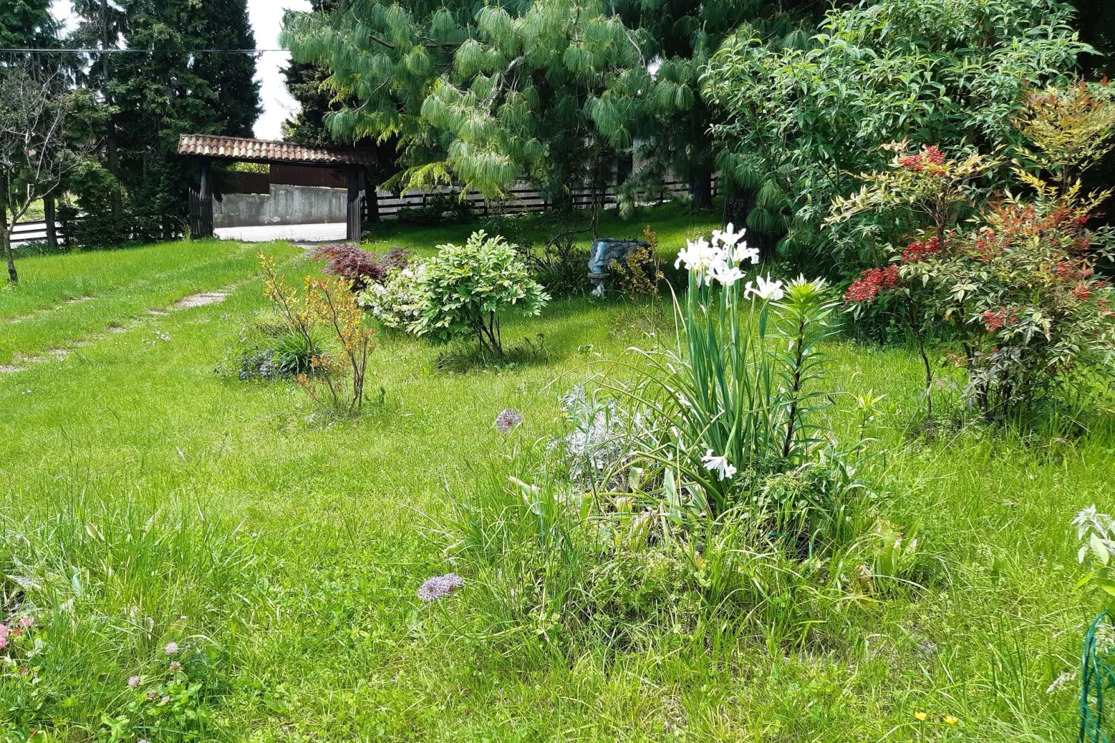 Casa Gherla Uno-Tuinen zomer