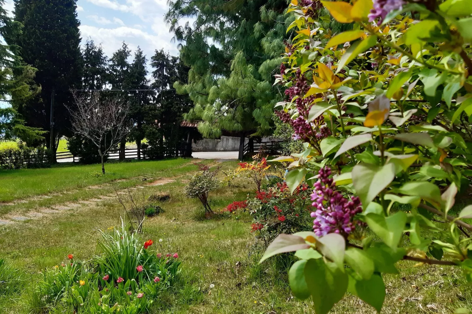Casa Gherla Uno-Tuinen zomer