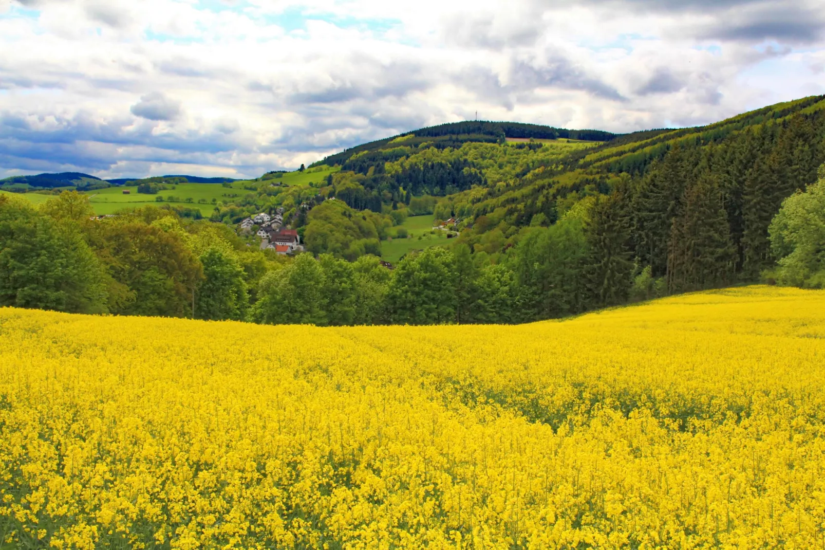 Blokhuis Winterberg Tulp-Gebieden zomer 1km